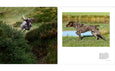 Country Life's Book of Dogs