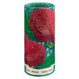 Rose Madame Scipion Large Cylinder Matches