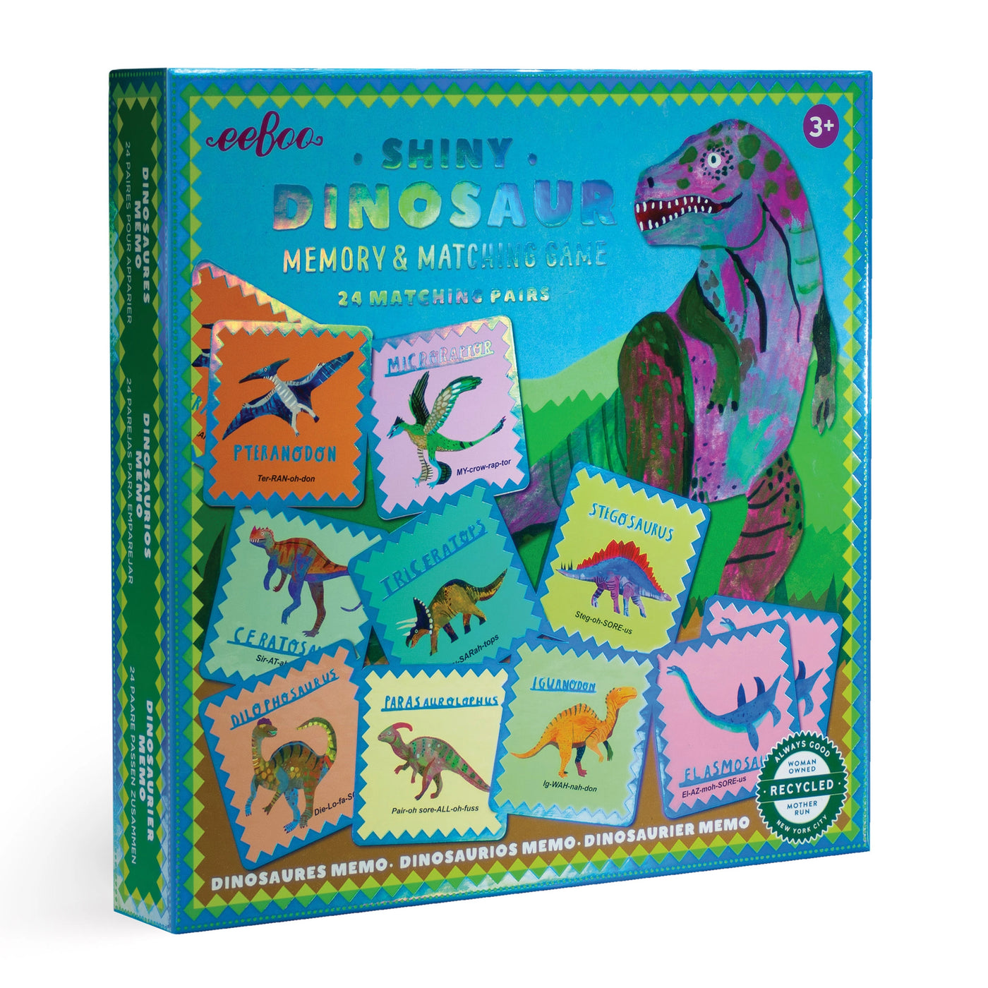 Dinosaur Matching Game