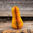 Honeycomb Squash