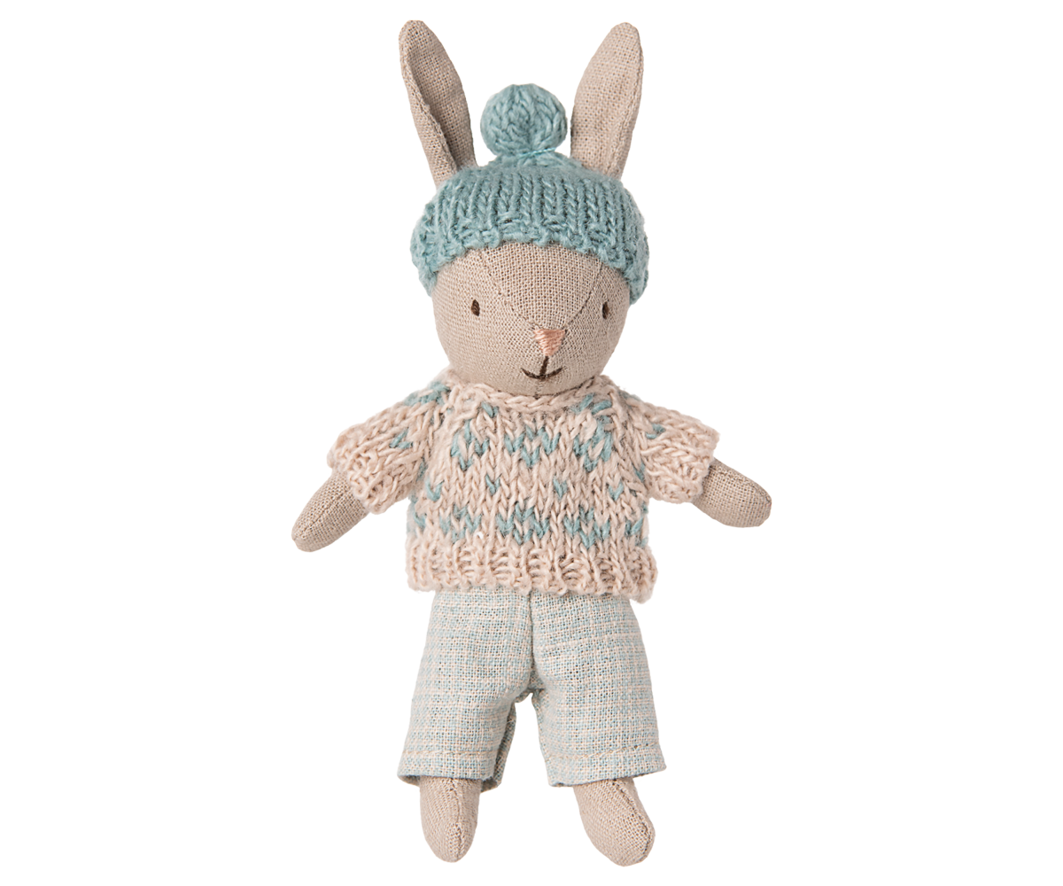 Winter Rabbit