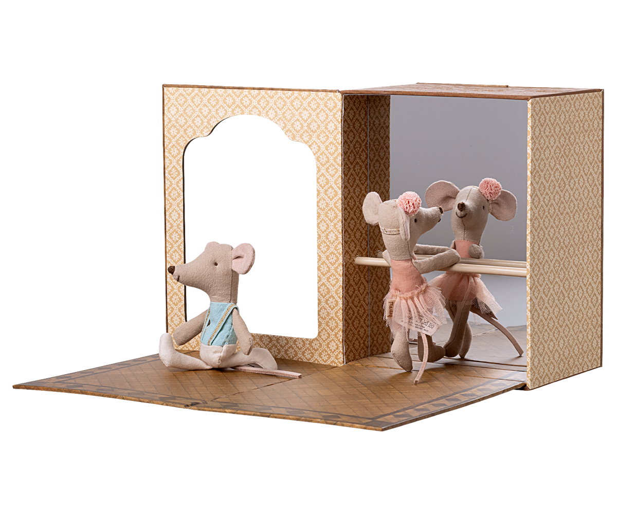 Ballet Mice in Dance Studio