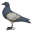 Wooden Pigeon
