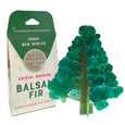 Crystal Growing Balsam Fir Kit