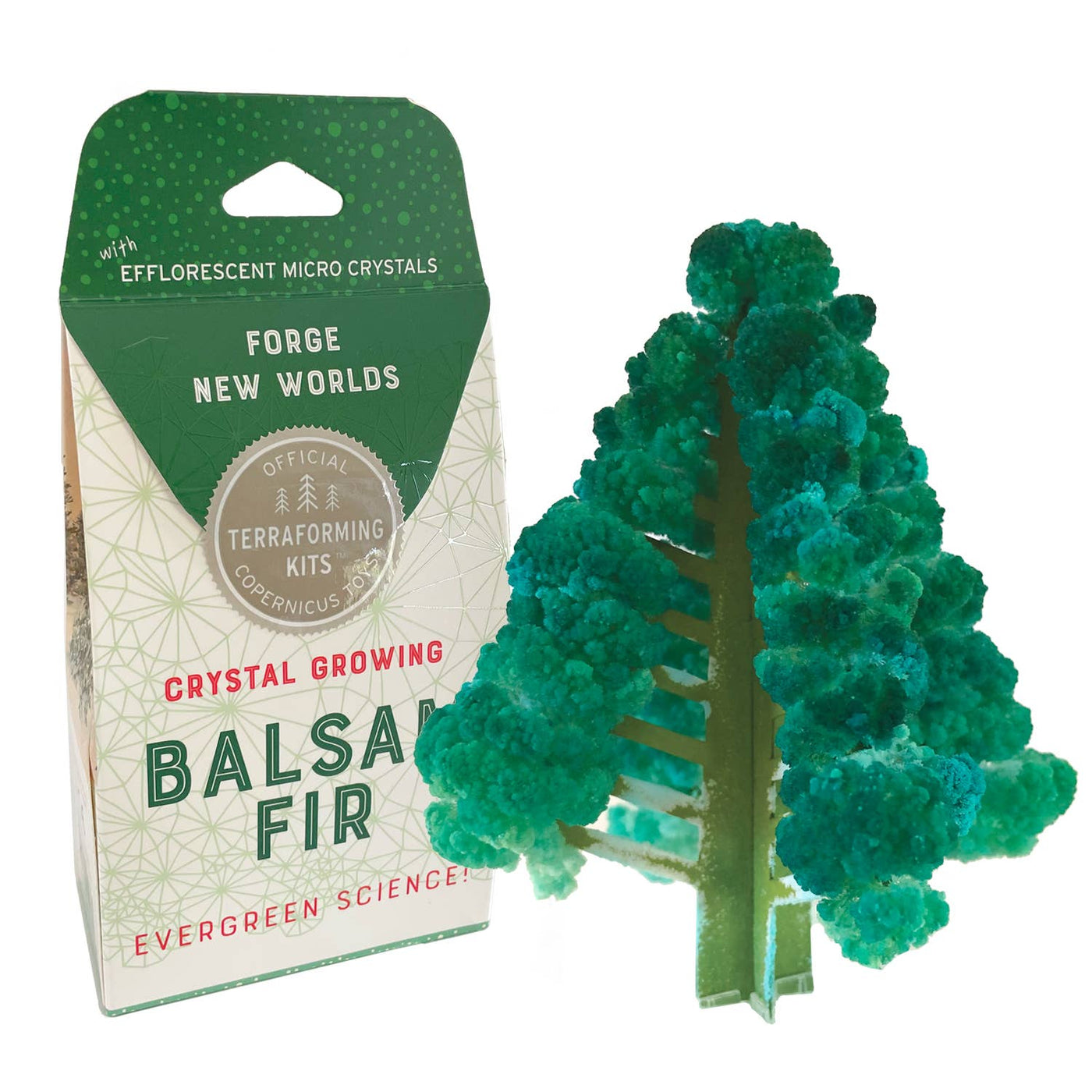 Crystal Growing Balsam Fir Kit