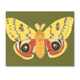 Luna Moth Fold-Out Card Boxed Set
