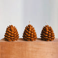Pinecone Beeswax Candle