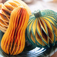 Honeycomb Squash