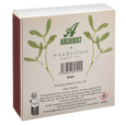 Mistletoe Safety Matches