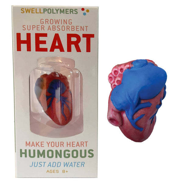 Grow a Heart Science Kit