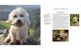 Country Life's Book of Dogs
