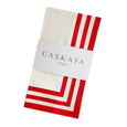 Triple Stripe Dinner Napkin Set