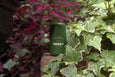 Sidebalm Outside Balm