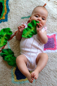 Kale Teething Toy