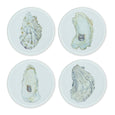 Oysters Glass Coasters