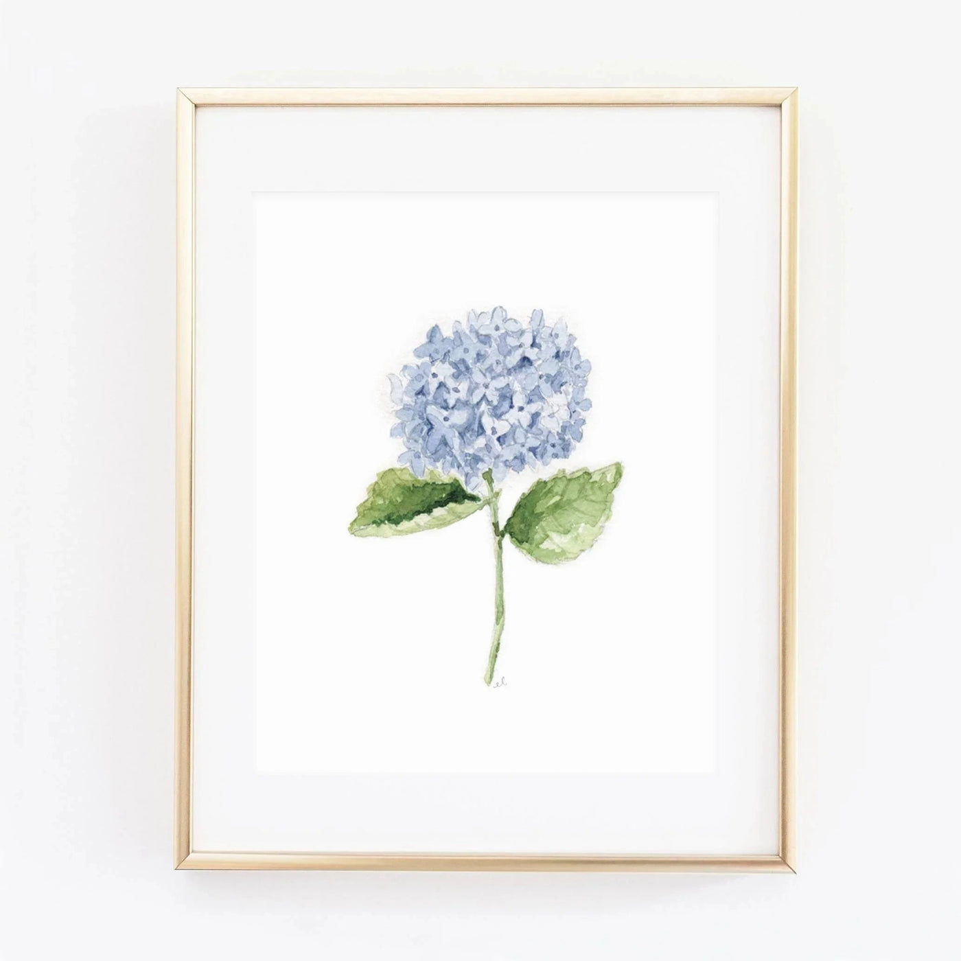Hydrangea Stem Art Print