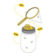 Mason Jar Firefly Kit
