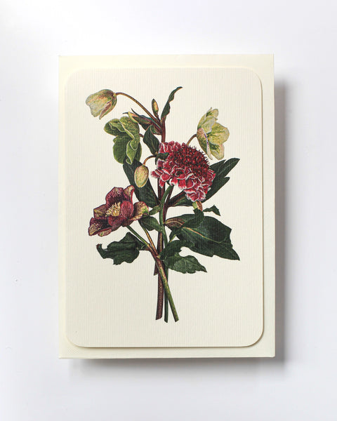 Posy of Hellebore & Scabiosa Card
