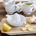 Citrus Squeezer