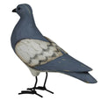 Wooden Pigeon