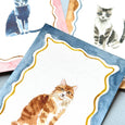Mini Watercolor Painting Kit: Cats