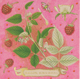 Rose Framboise Matchbox