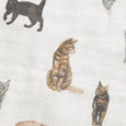 Cat Swaddle