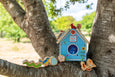 Bird House Sorter Box