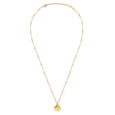 Scallop Shell and Pearl Station Chain Necklace
