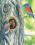 Western Bluebird Mini Puzzle