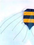 Bumble Bee Costume Wings