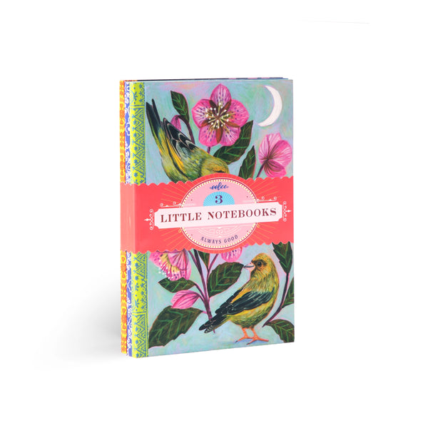 Birds Little Books Set