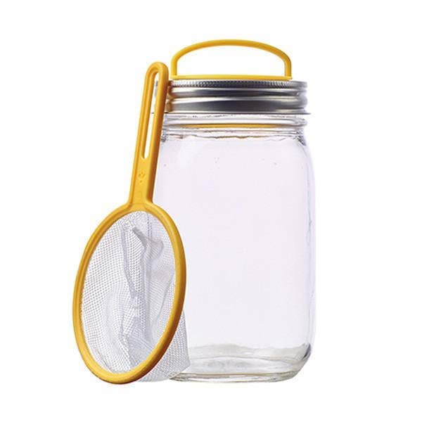 Mason Jar Firefly Kit