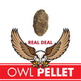 Owl Pellet Dissection Kit