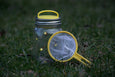 Mason Jar Firefly Kit