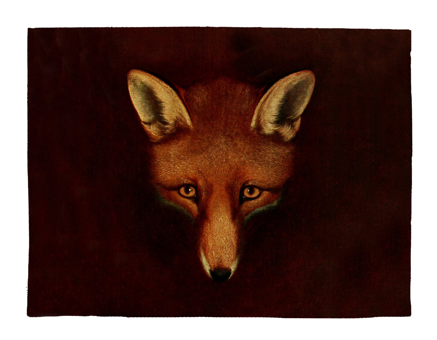 Fox Placemat