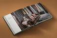 Country Life's Book of Dogs