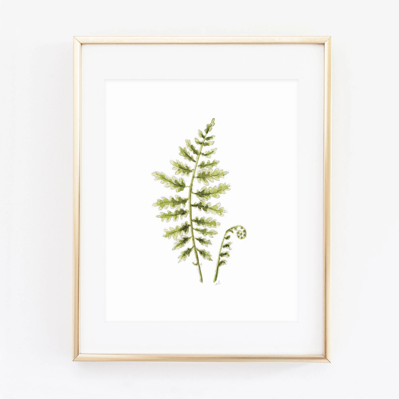 Fern Art Print