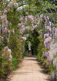 Charming England