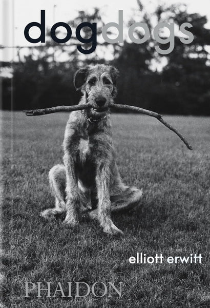 DogDogs