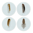 Colored Feathers Glass Coasters
