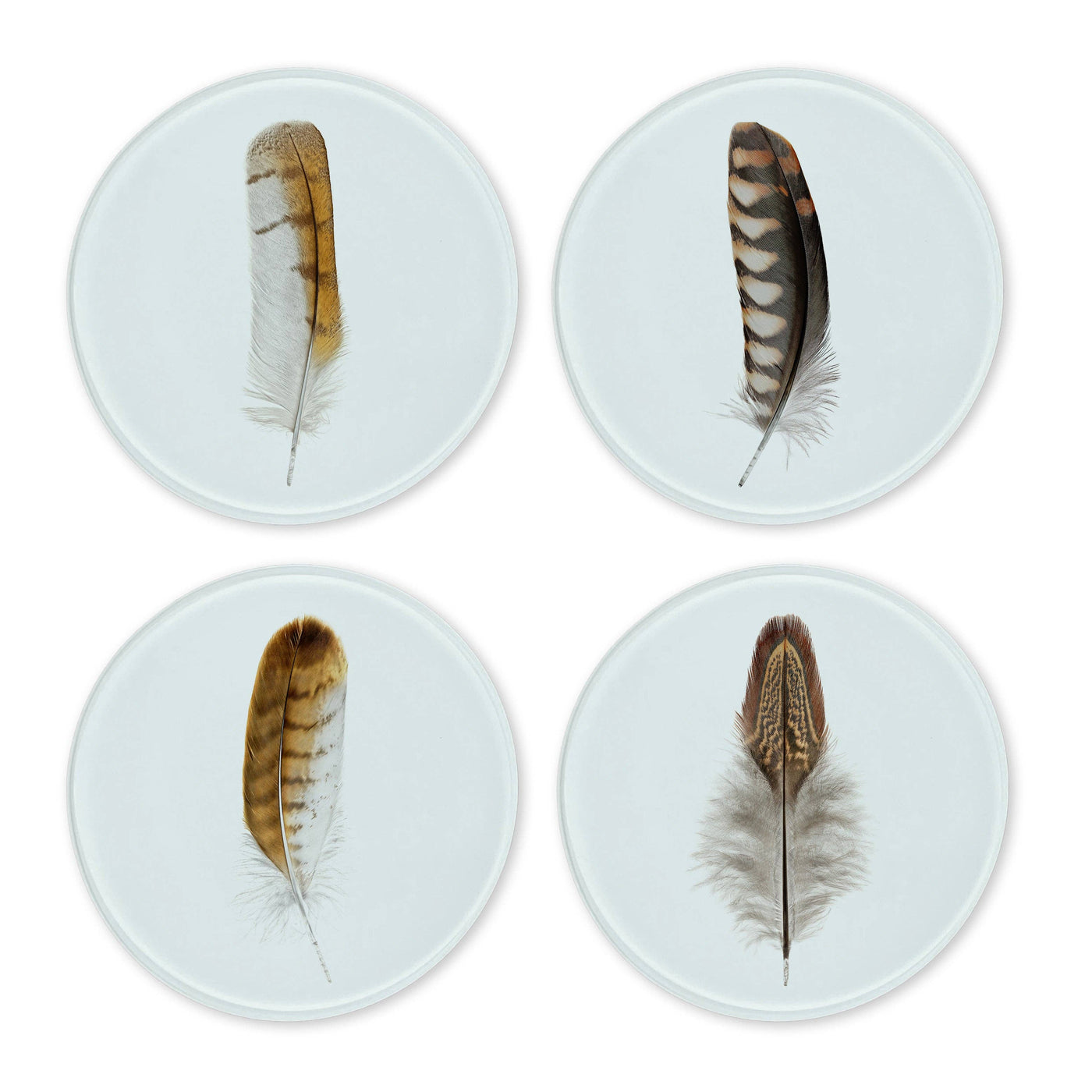 Colored Feathers Glass Coasters