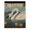 The Common American Swan Matchbox