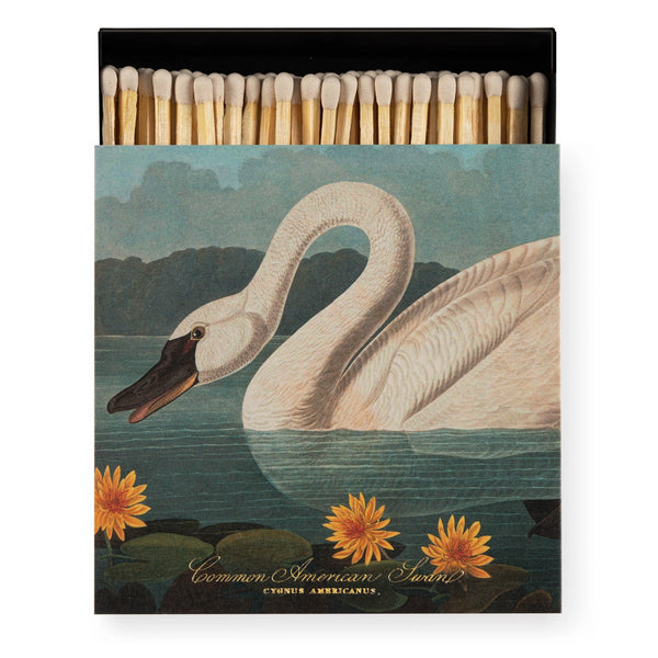 The Common American Swan Matchbox