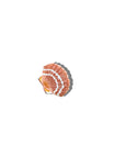 Mini Seashell Hair Clip