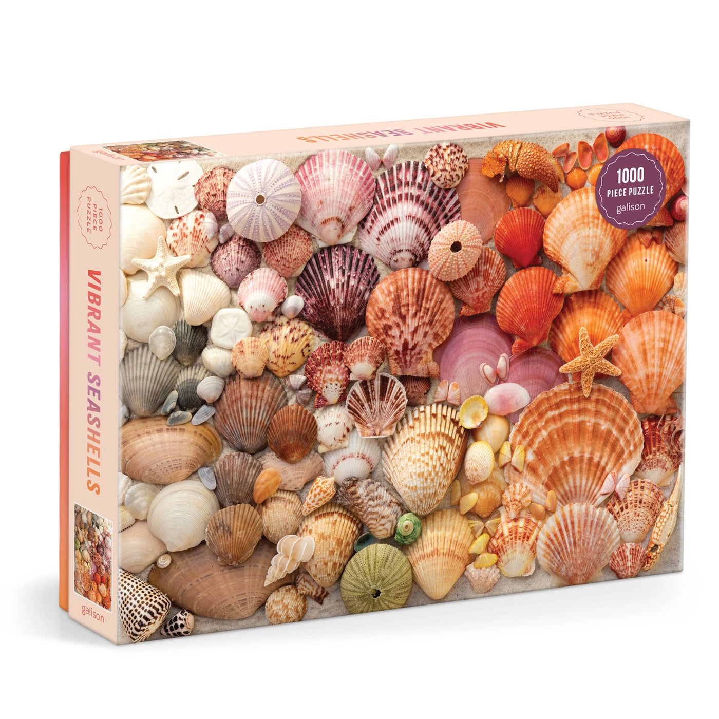 Vibrant Seashells Puzzle