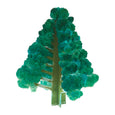Crystal Growing Balsam Fir Kit