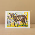 Soay Sheep & Hare