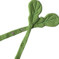 Radish Bib