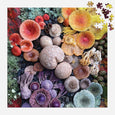 Shrooms in Bloom Puzzle